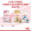 85 g Royal Canin Kitten comida húmeda en gelatina sobre para gatitos, , large indicador imagen numero 7